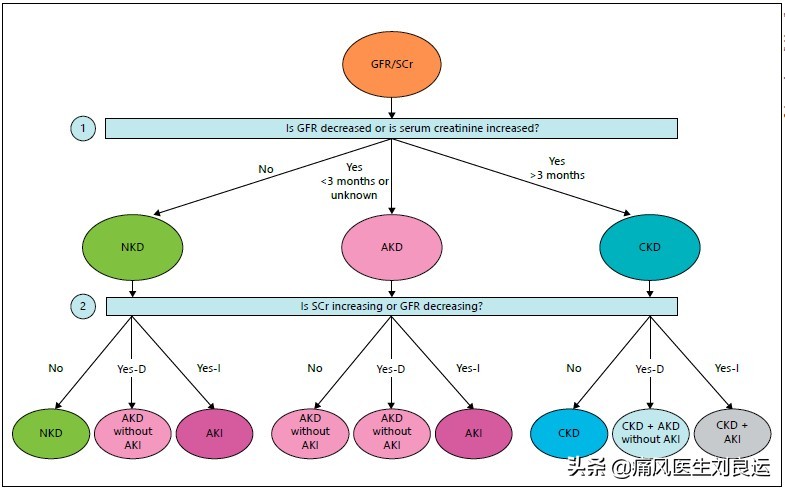 痛风引起的肌酐高怎么治疗,痛风肌酐高需要看肾内科吗