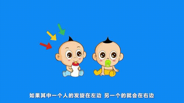 有两个发旋的人智商,发旋会遗传吗