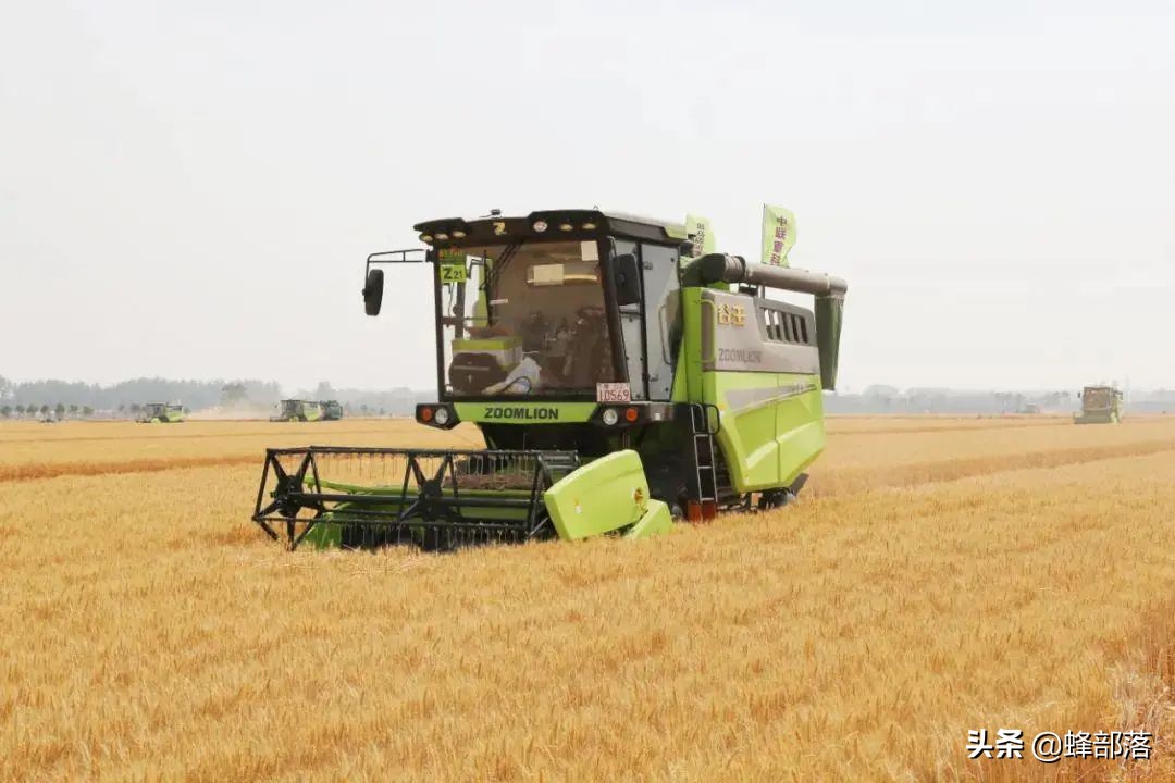 未来农村十大项目,农村最新项目商机