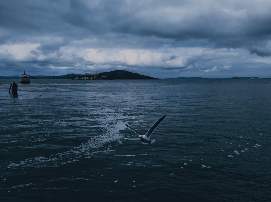 ins风暗黑图片,ins暗黑风格照