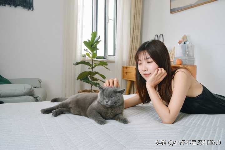 躺平青年的睡眠好物！8H黑金刚大口径独立弹簧乳胶床垫深度体验