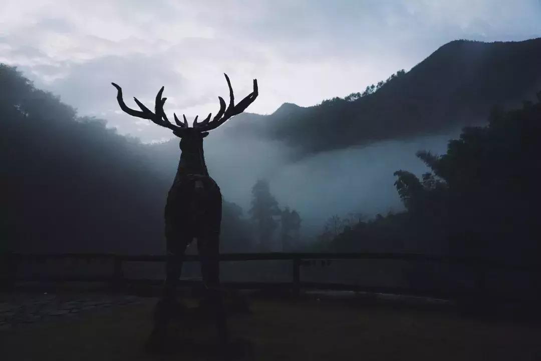 399元无边泳池,无边泳池抖音优惠团购