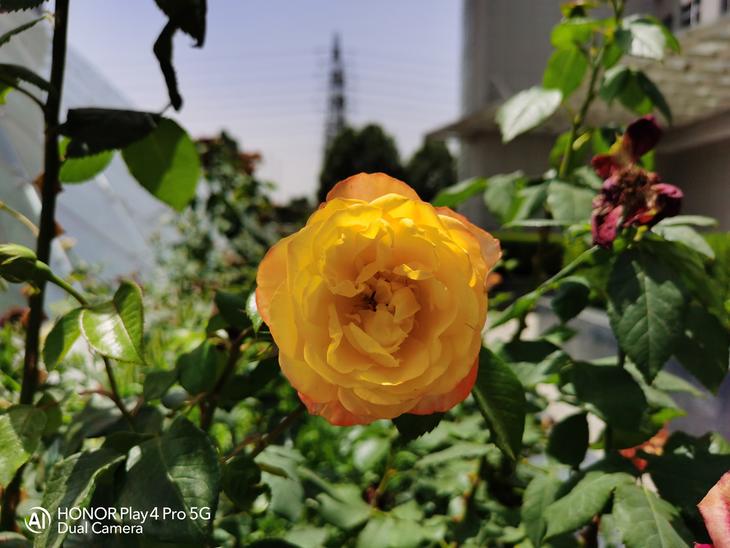 荣耀play4pro的优缺点和使用体验,让人们切实感受5g改变