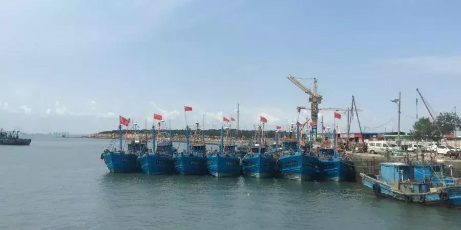 有一种炫富叫青岛开海啦,青岛炫富最新方式