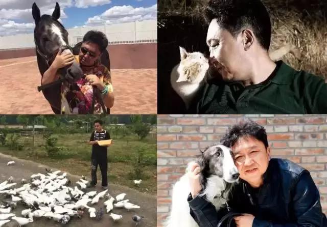 鐜╂憞婊氶獞鍝堥浄,鐜╂憞婊氱殑浜庤唉