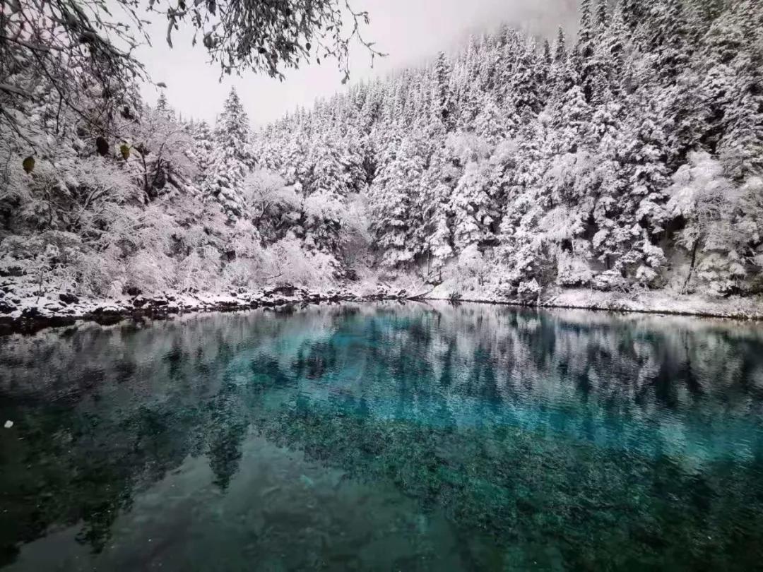 九寨沟冰雪仙境,自驾九寨沟冰雪路面