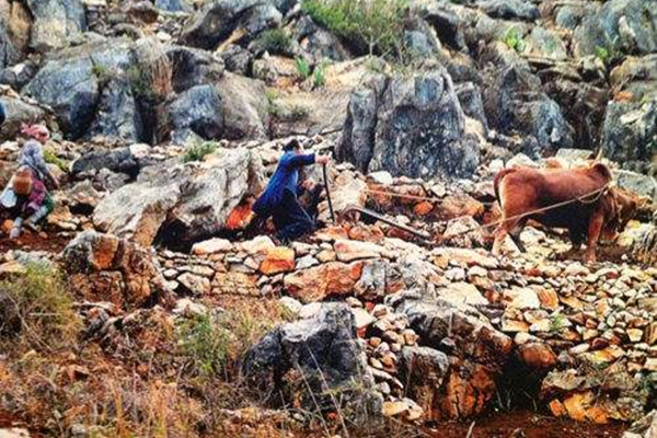 如何分辨你是广西哪个市的人,如何判断一个人是不是广西的