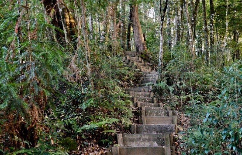 salomon登山鞋不防水,salomon户外鞋如何选择