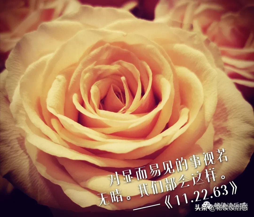 21篇读后感,128字的读后感