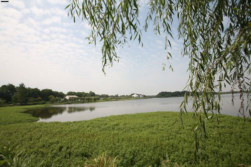 坝上三大景点,坝上草原是丰宁还是围场的