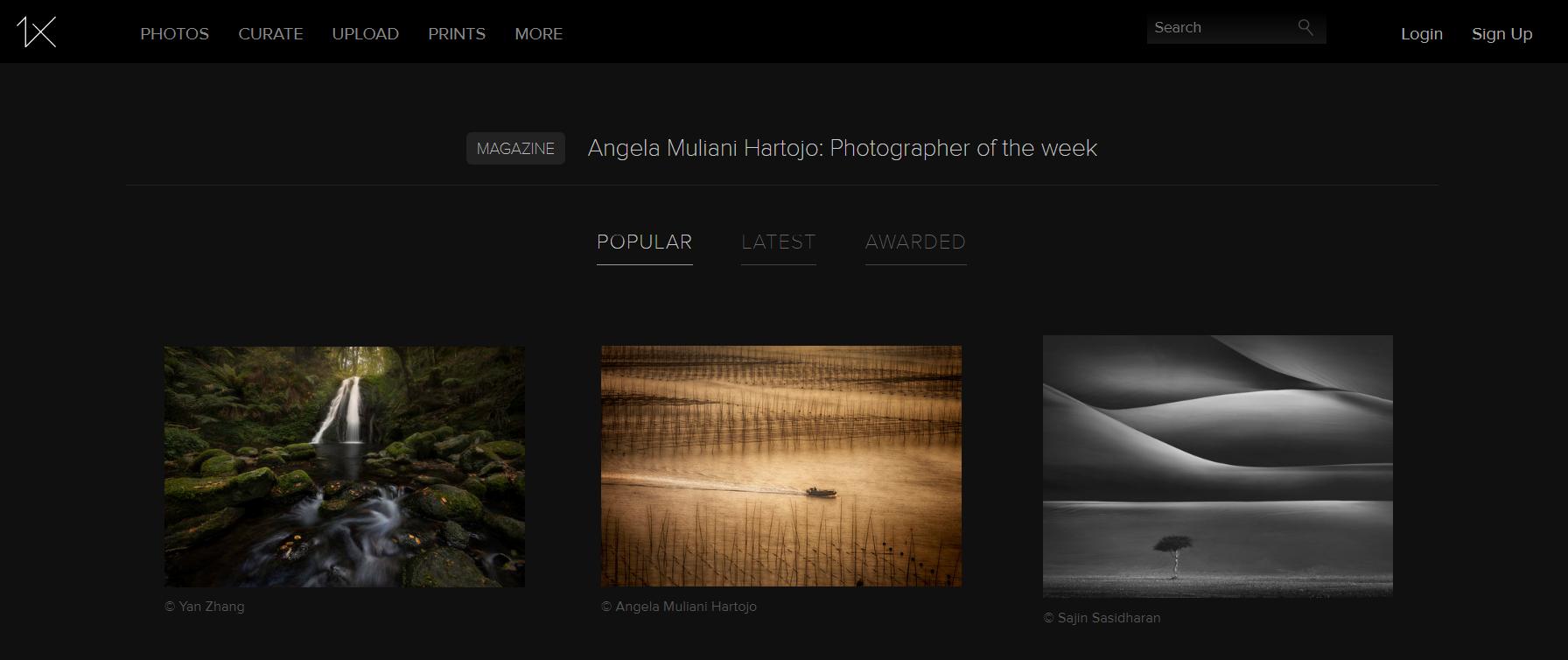 超清图片网站推荐,超级棒图片大全