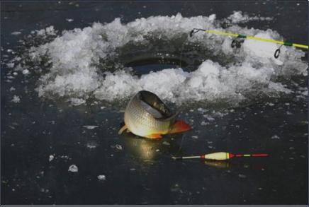 童趣亲子冬令营,周末亲子时光体验儿时快乐