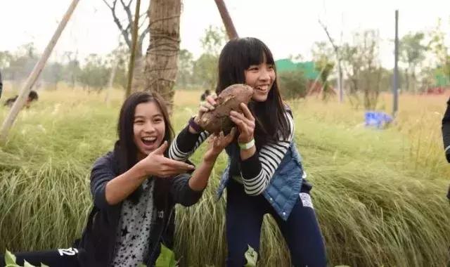 周庄水月铂尔曼酒店,水月周庄铂尔曼酒店攻略