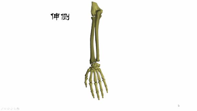 手部肌腱不完全断裂能完全复原吗,手部屈指肌腱损伤最难处理的部位