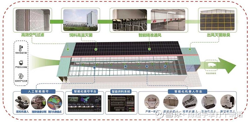 牧原股份盈利模式及风险分析 (牧原股份投资价值分配)