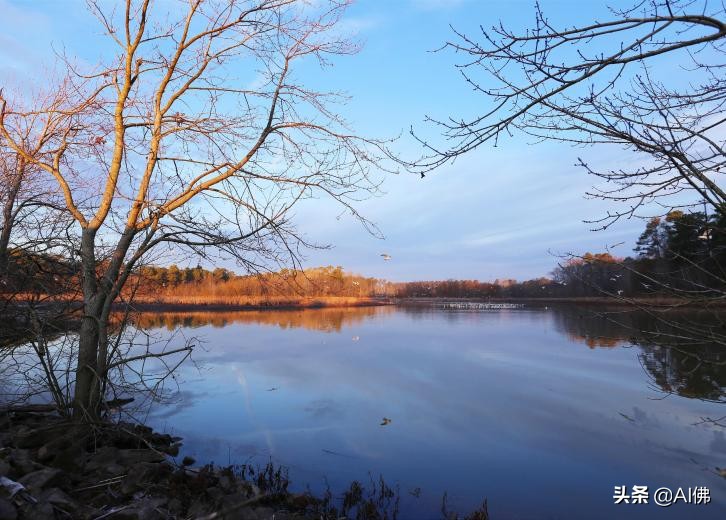 美国最适合居住的城镇,美国各州最适合居住的地方