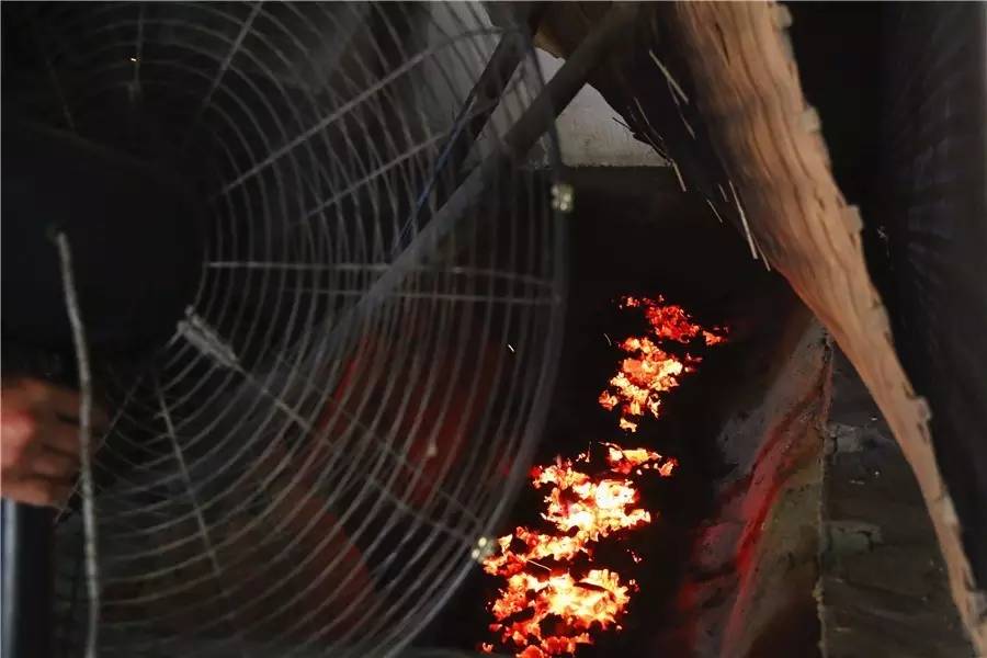 临安山野小核桃,临安高山山核桃