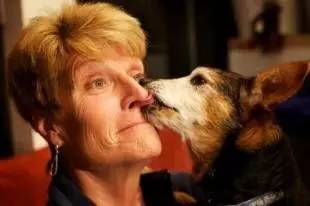 矿工离职后续交社保,旷工离职社保会受影响吗