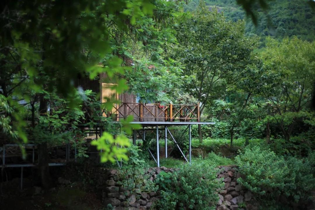 七年级上册秋天的怀念批注赏析,七年级上册秋天的怀念朗读