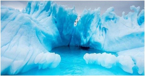 科学家未解的四大之谜,四个已经解开的未解之谜