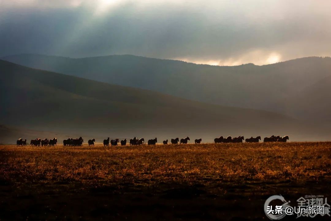 美图欣赏黄河全貌,航拍九曲黄河最美视频