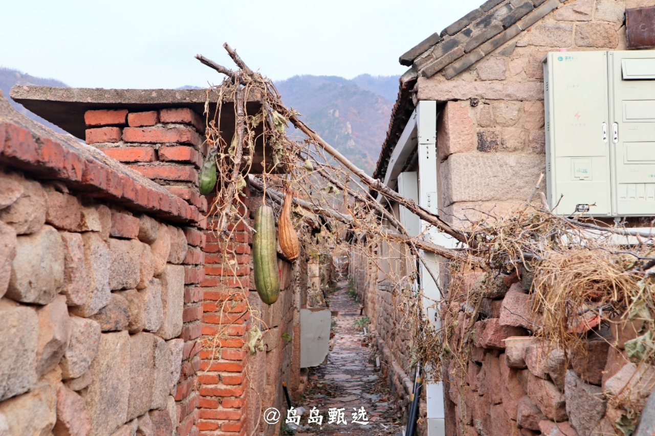 远离城市休闲的好地方,青岛郊区小众好去处