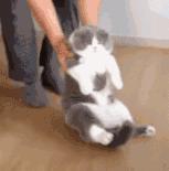 支原体感染怀孕还能治疗么,怀孕了感染了支原体感染能治疗吗