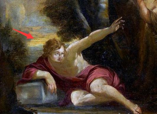 全球最美十种花,世界公认的九大最美花