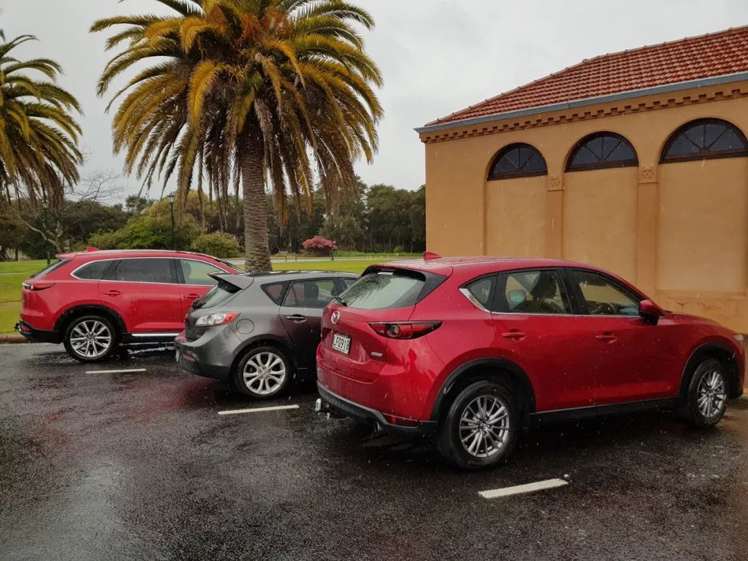 新西兰最适合开什么车,哪个国家人均拥有的汽车最多