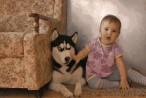 显微镜的价格最便宜的,日本口袋放大120倍显微镜