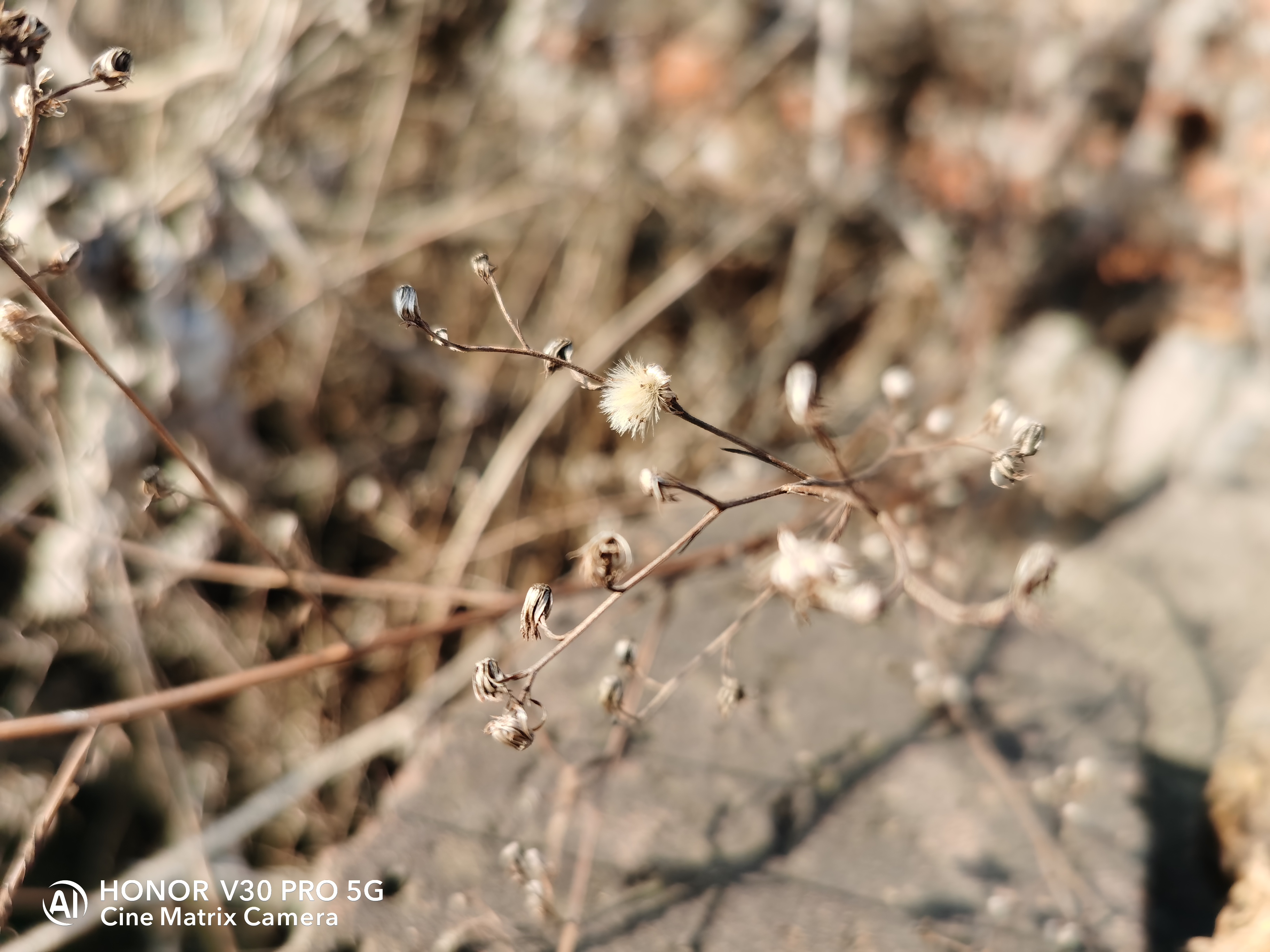 荣耀v30pro拍照现在算落后吗,荣耀v30pro和红米k30s至尊版对比