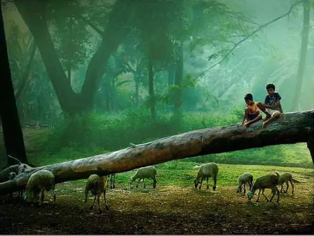 小孩成绩不错但比较懒怎么引导,孩子懒惰学习不主动怎么办