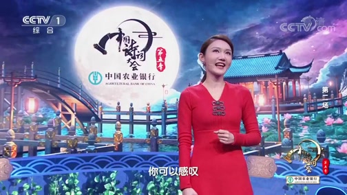 中国诗词大会董卿和龙洋开场白,中国诗词大会董卿龙洋开场篇