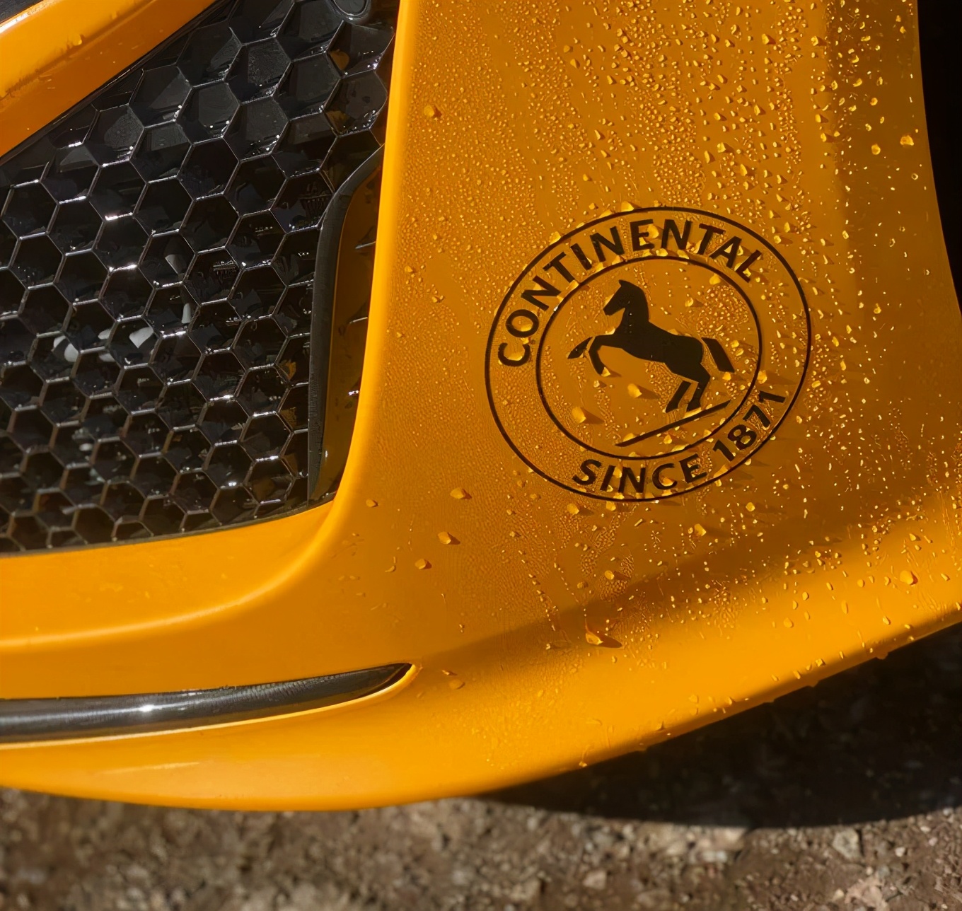 轮胎界一匹黑马,轮胎界的扛把子