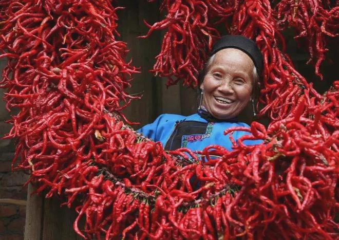 有多少外地人倒在西南的痔疮医院里？