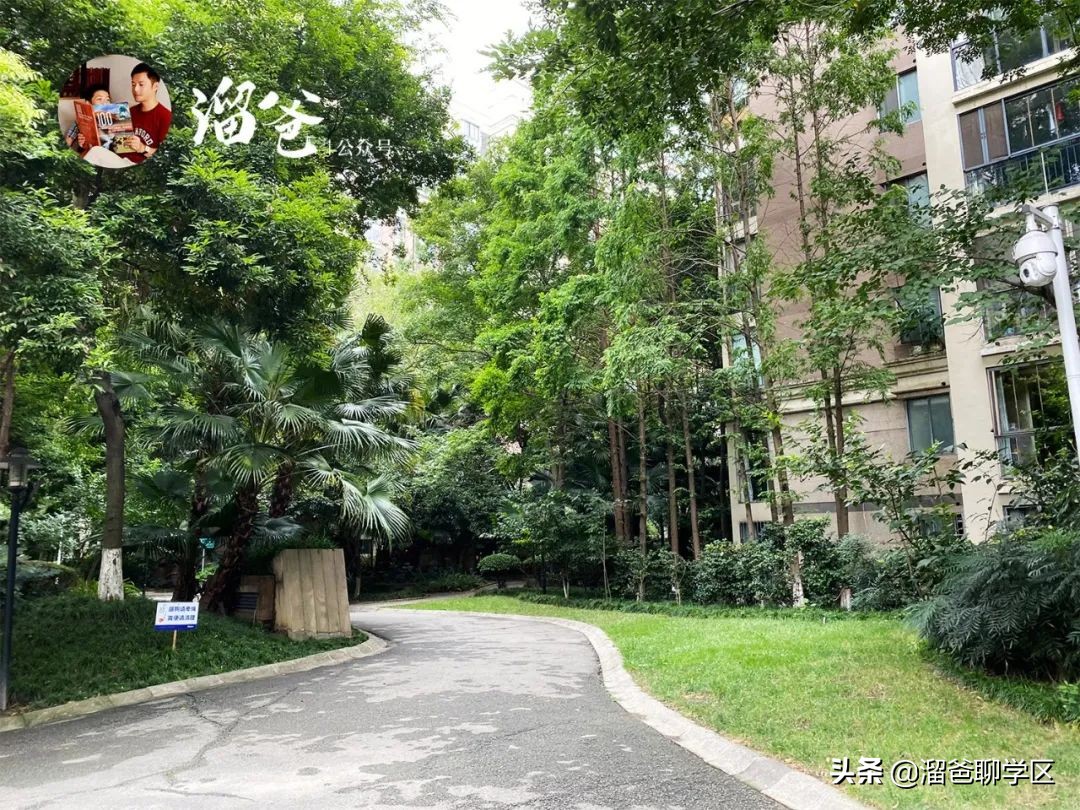 冯家湾村拆迁,神仙树冯家湾片区