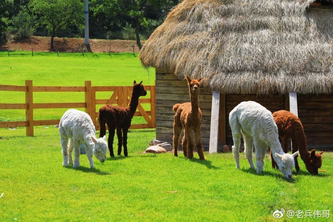 大连九月旅游攻略大全,大连11月旅游的最佳地方