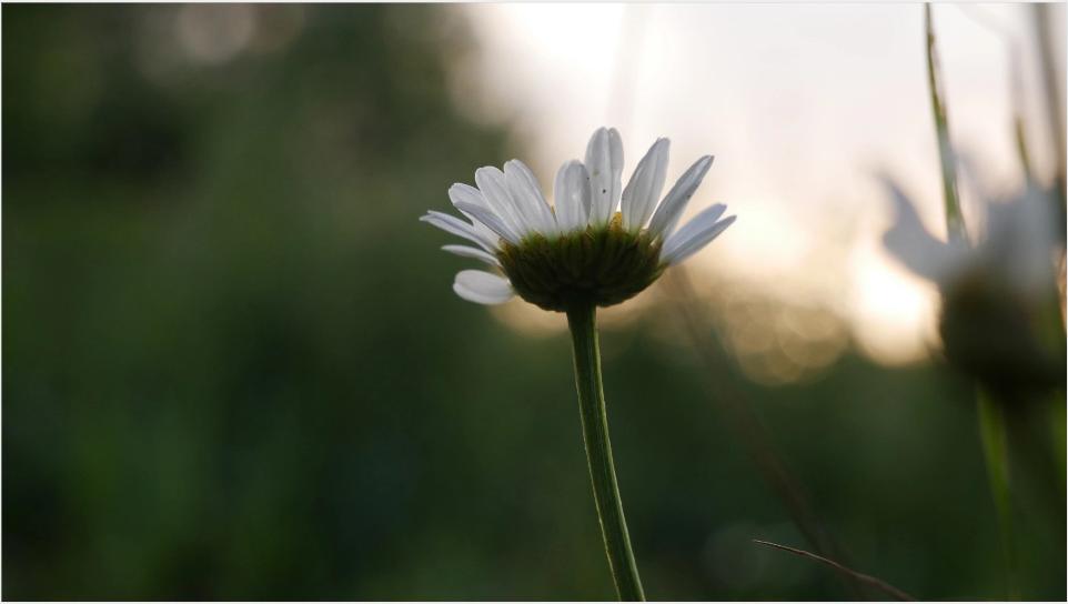 普通人如何创业最快赚钱,普通人如何创业变现赚钱