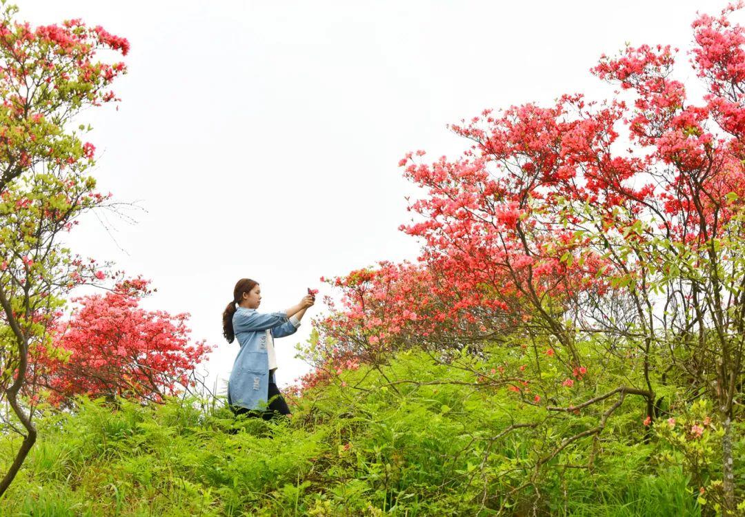 缙云旅游景点拍照攻略,缙云景区拍照攻略视频