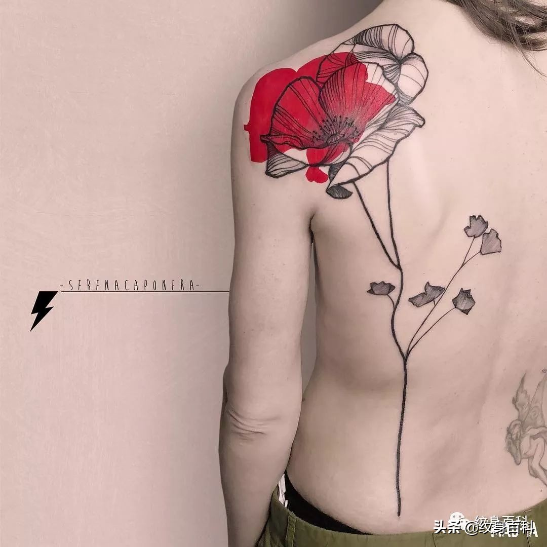 *粟罂**花纹身，致命的吸引~