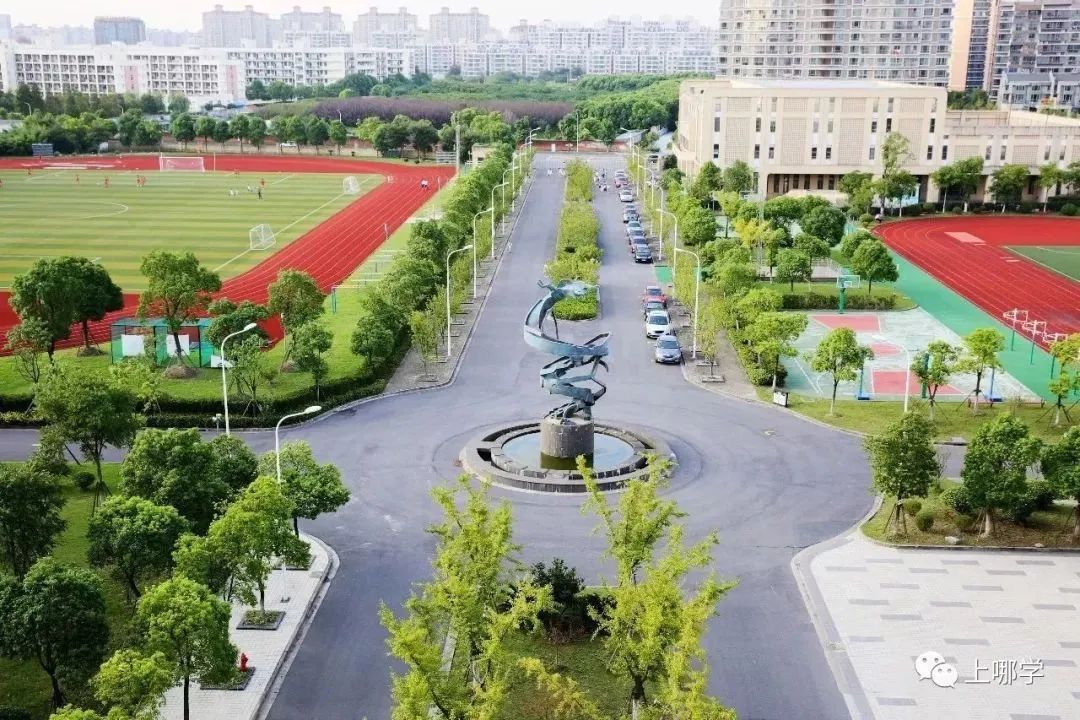 开了挂的闵行教育有多强!协和、世外等品牌建校,名校都想抢生源