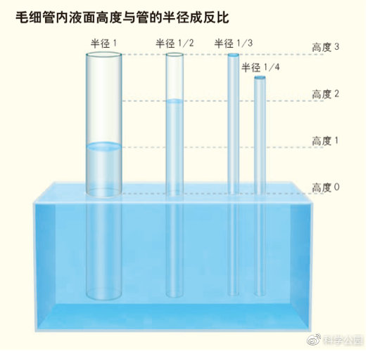 湿头发为什么看起来秃,头发一坨粘在一起怎么办