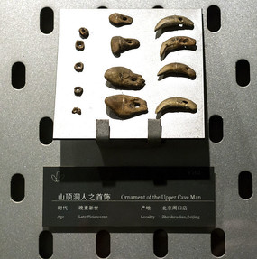 鸡血石与田黄石的结合,硬田黄石与田黄石