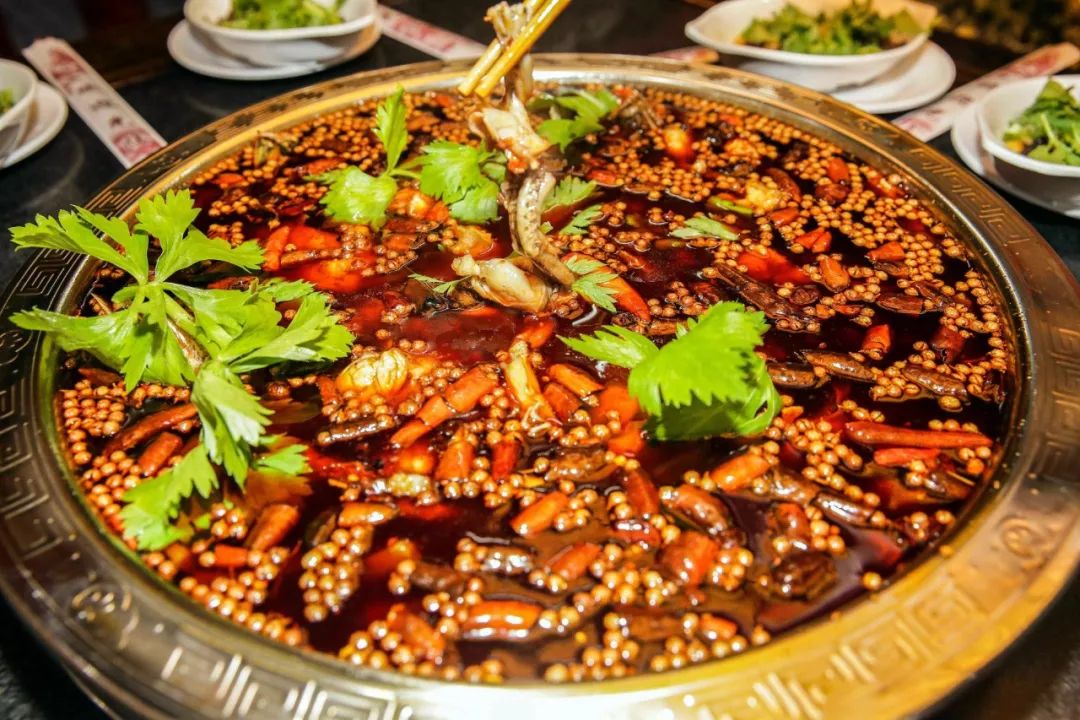 阅车无数的车型,比亚迪速锐手动十大忠告