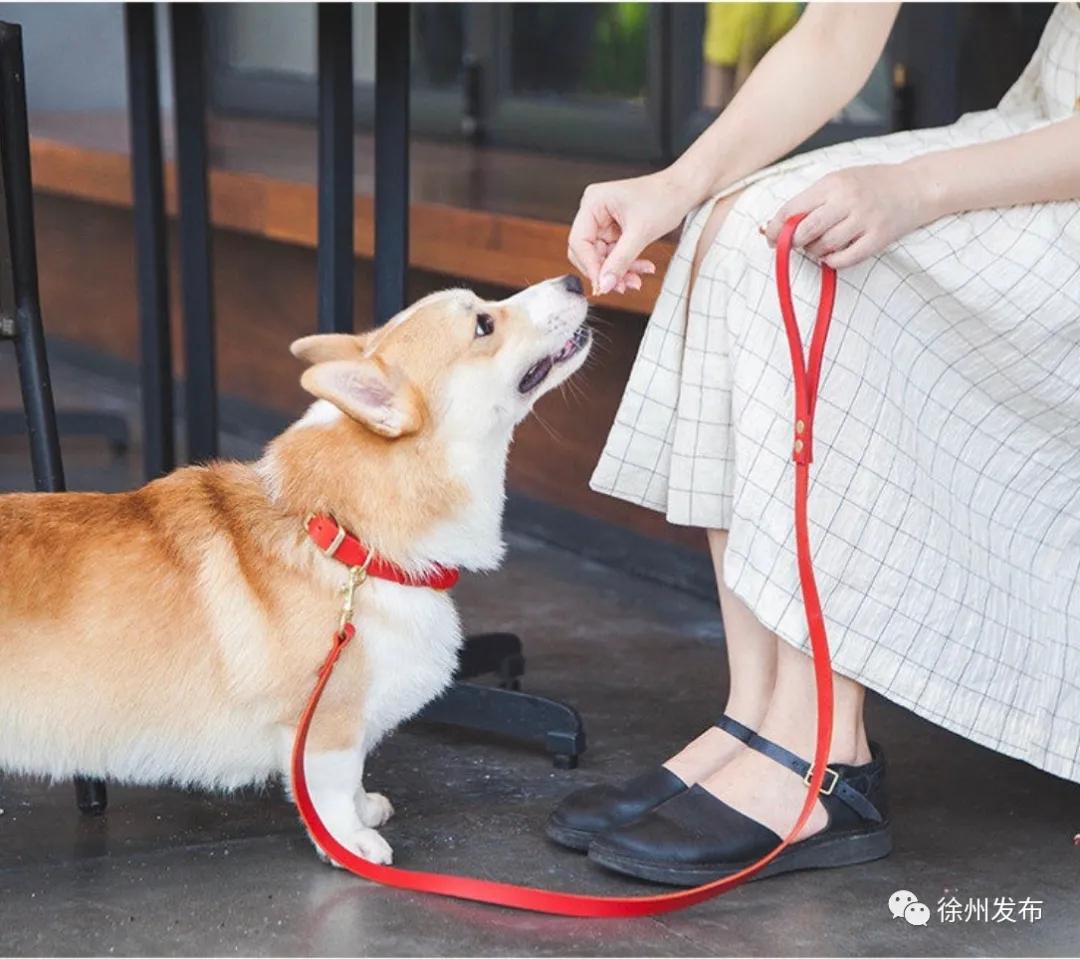 徐州小学开学时间,徐州实时时间