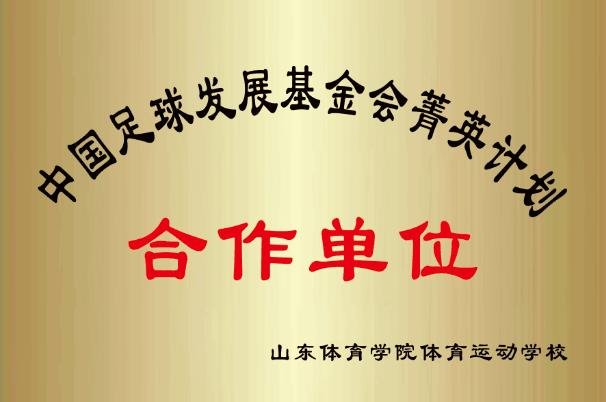 山东武圣文化传媒有限公司“揭皇榜”投建10个标准足球场地