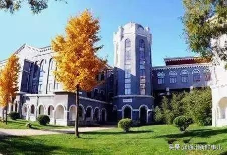 快看这些美图藏着你的乡愁,看看这些阜阳老照片你还有记忆吗