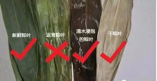 粽子有什么危险,警惕这种粽子
