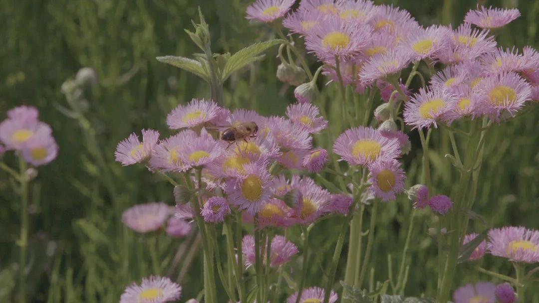 全职宝妈在家带娃怎么赚钱,适合宝妈在家带娃的赚钱模式