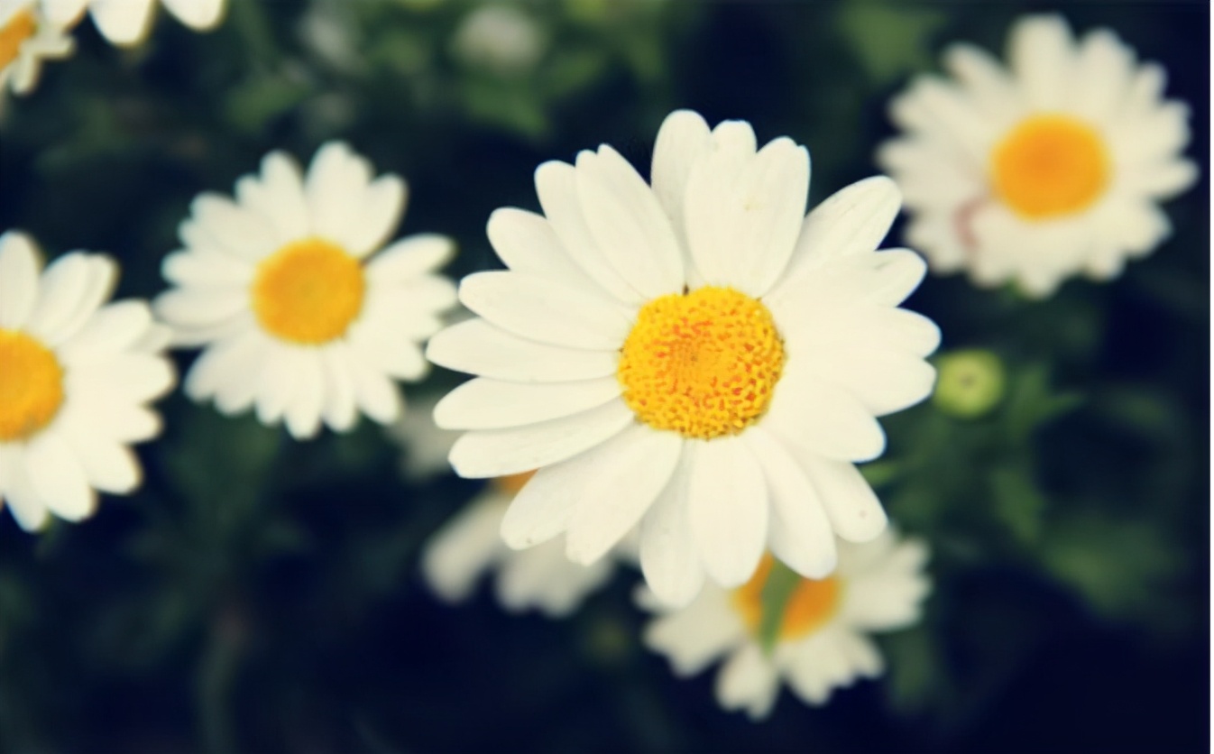 公公看上儿媳陪嫁，四处炫富，亲家提前做财产公证，婚前双方反目